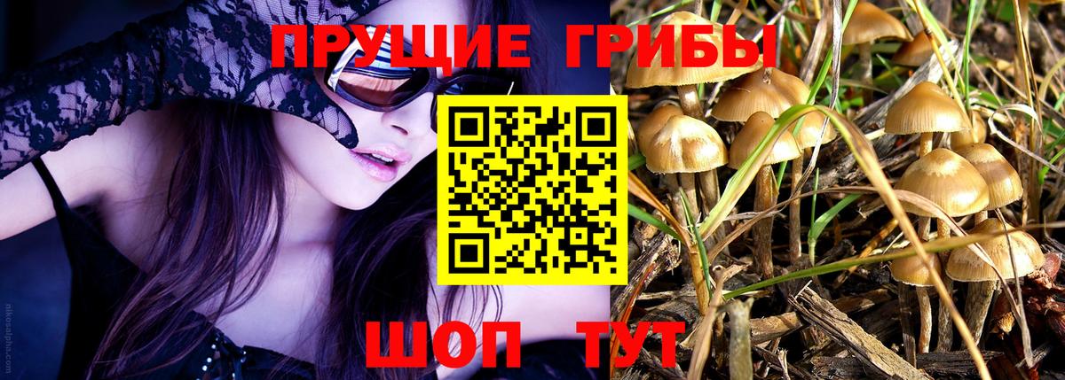 Димитровград  Галлюциногенные грибы Magic Shrooms  Вход с VPN 