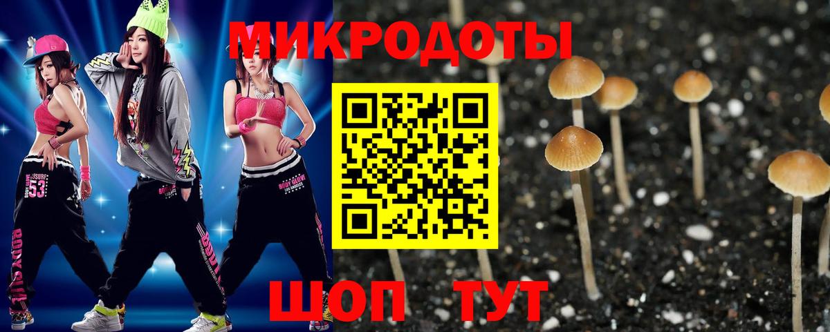 Псилоцибиновые грибы Magic Shrooms Димитровград